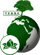 Traité Engagement Rassemblement Responsabité Ecologique