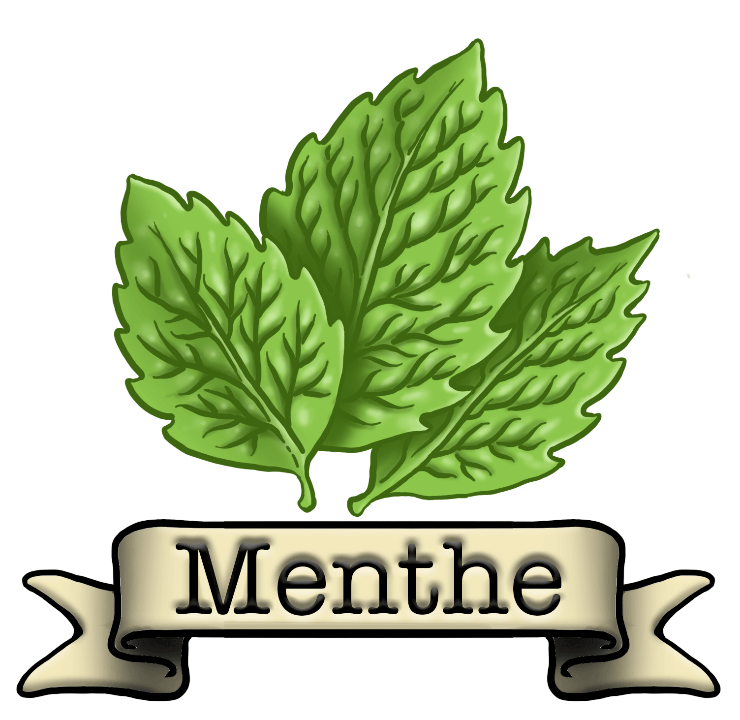 Menthe