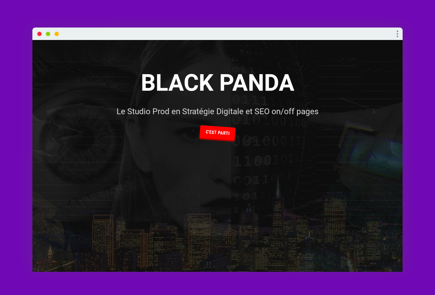 screenshot home site black panda seo and digital strategy